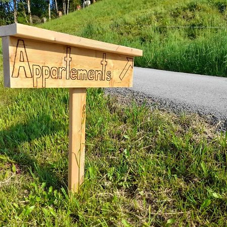 Appartement Sonnseitn Altenmarkt im Pongau Exteriér fotografie