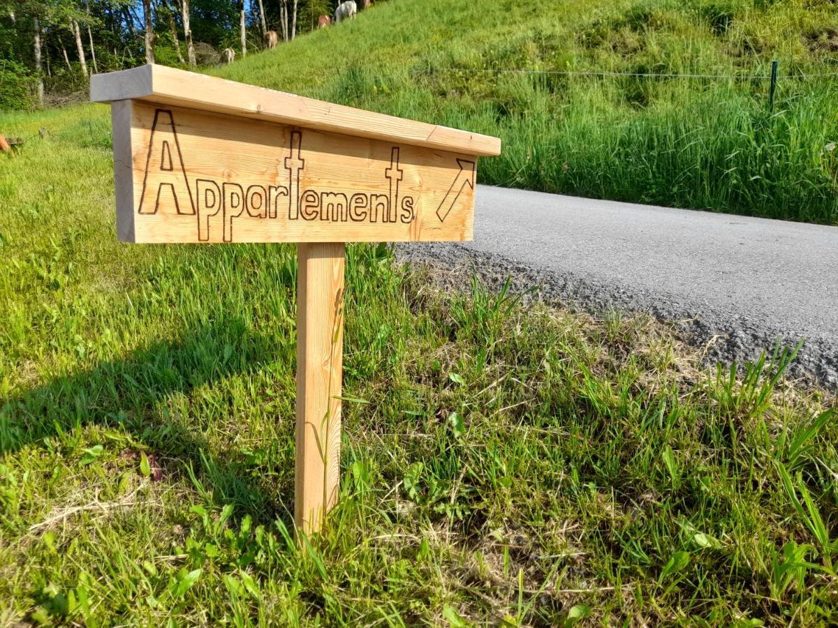 Appartement Sonnseitn Altenmarkt im Pongau Exteriér fotografie